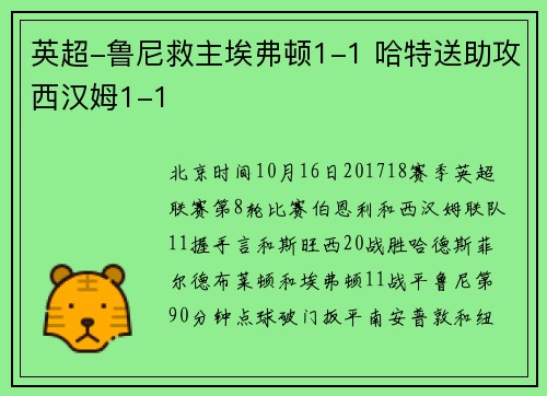 英超-鲁尼救主埃弗顿1-1 哈特送助攻西汉姆1-1
