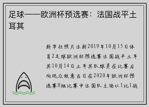 足球——欧洲杯预选赛：法国战平土耳其