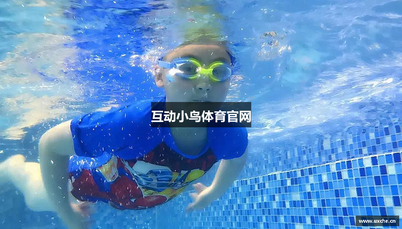 互动小鸟体育官网