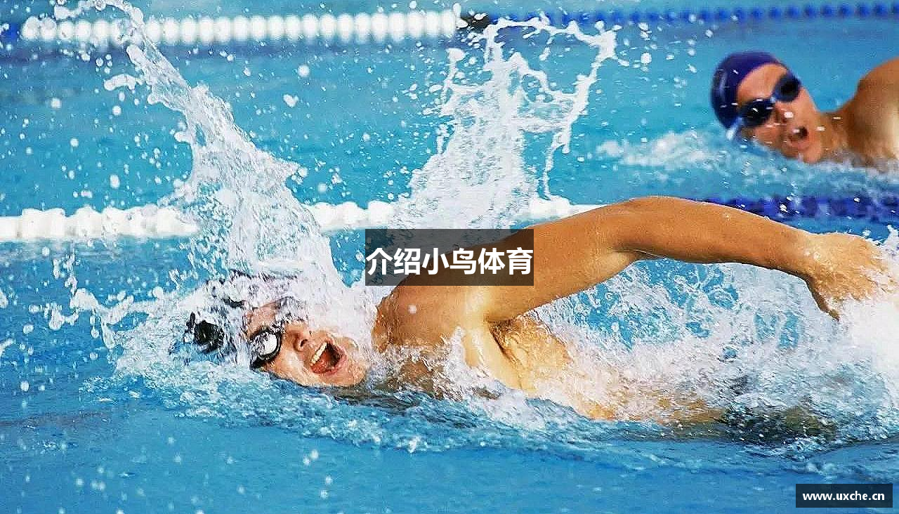 介绍小鸟体育